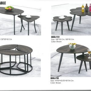 Modern coffee table with elegant design and durable wooden finish